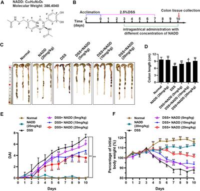 N-Acetyldopamine Dimer Attenuates DSS-Induced Ulcerative Colitis by Suppressing NF-κB and MAPK Pathways